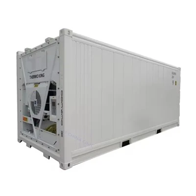 מיכל מיכל ריפר 20ft עם Thermo King